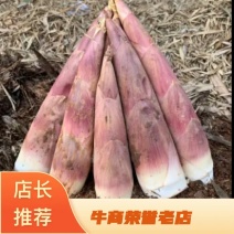 精品雷笋竹笋每日现挖现发产地直供货源质量保证