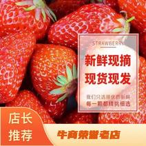 【精选】天仙醉草莓，现摘现发，大量上市，欢迎咨询