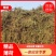 【薄荷】高含量薄荷，薄荷叶质量保证价格实惠量大从优