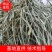 螃蟹脚寄生、大量现货，质量保证，欢迎选购，产地一手货