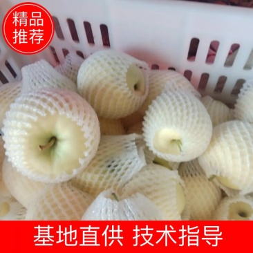 好货不便宜，大黄元帅平果，个头均匀，货源充足