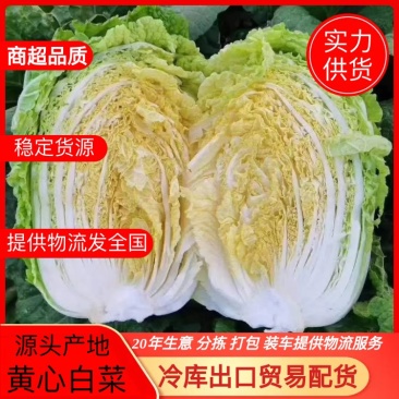 【电商推荐】黄心白菜大棚白菜大上市出口贸易商超品