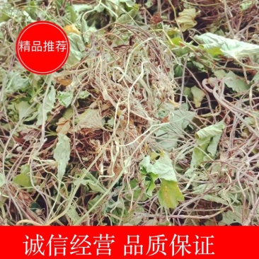 积雪草，颜色青色，不含流干货，贵州野生货，需要的联系我