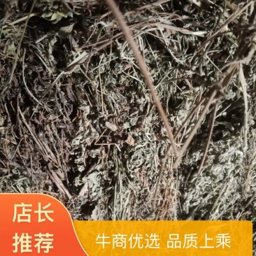 仙鹤草，炸包货，精品颜色好，欢迎老板采购