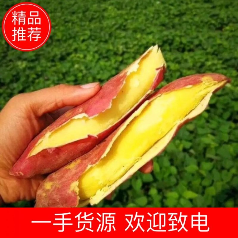 精品秦薯五号红薯质量杠杠的，条形直流，量大从优质量有保证。