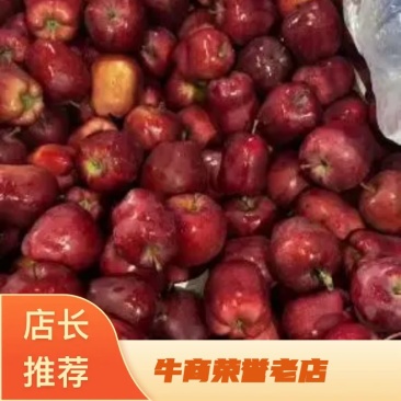 优质苹果大量上市量大价优欢迎咨询下单