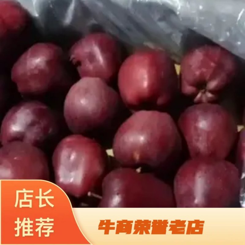 甘肃花牛辽宁黄元帅陕西红富士各种苹果都有