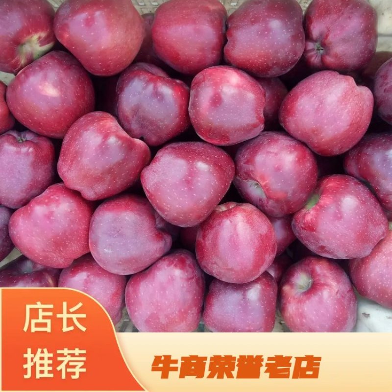 优选苹果红星苹果产地发货，质量保证，批发，量大价优