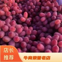 冷库克伦生葡萄大量现货供应，有想法的老板们抓紧联系我