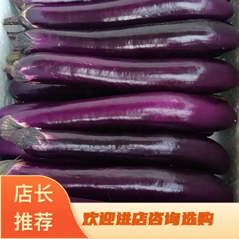 产地货直发全国发电商市场