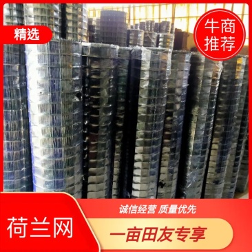 电焊铁丝网加粗加重荷兰网供应大量大棚配件