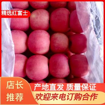 绥中县山果红富士苹果80mm以上纸袋货源充足。