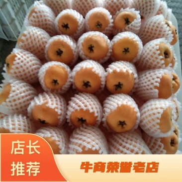 汉源五星枇杷，果大皮薄，肉厚，汁液，化渣，味甜欢迎咨询，