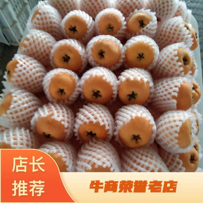 汉源五星枇杷，果大皮薄，肉厚，汁液，化渣，味甜欢迎咨询，