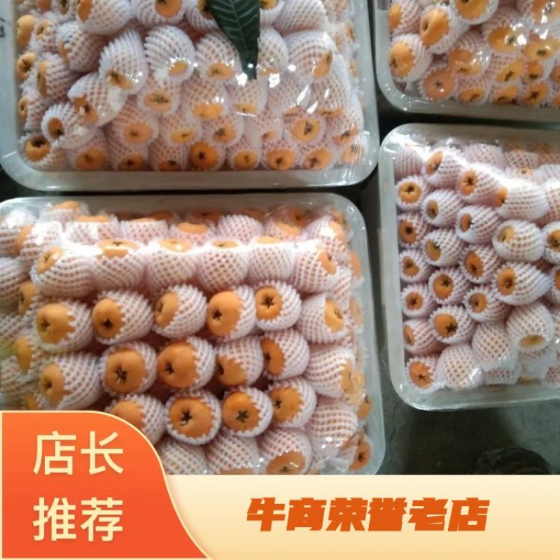 汉源五星枇杷，个大皮薄肉厚，汁多味甜化渣，欢迎大家品尝