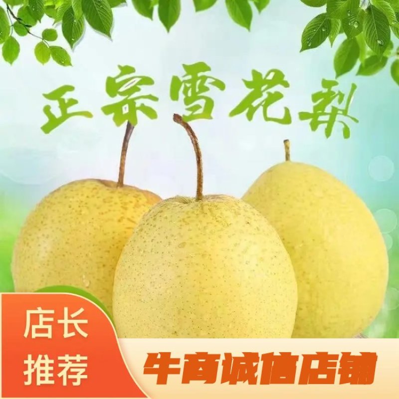 河北雪花梨，翠甜可口，货源充足，欢迎联系接商超市场电商