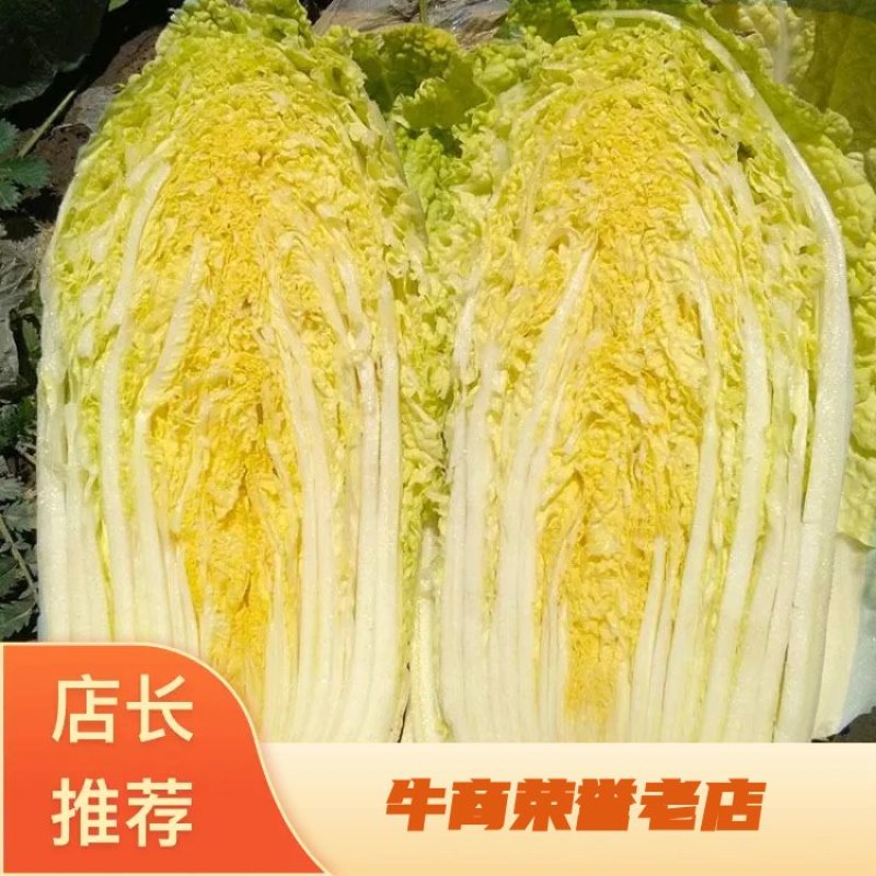 四川彭州白菜新鲜应季蔬菜基地直供对接全国市，欢迎咨询