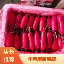 四川成都红皮萝卜产地直发价格便宜新鲜采摘