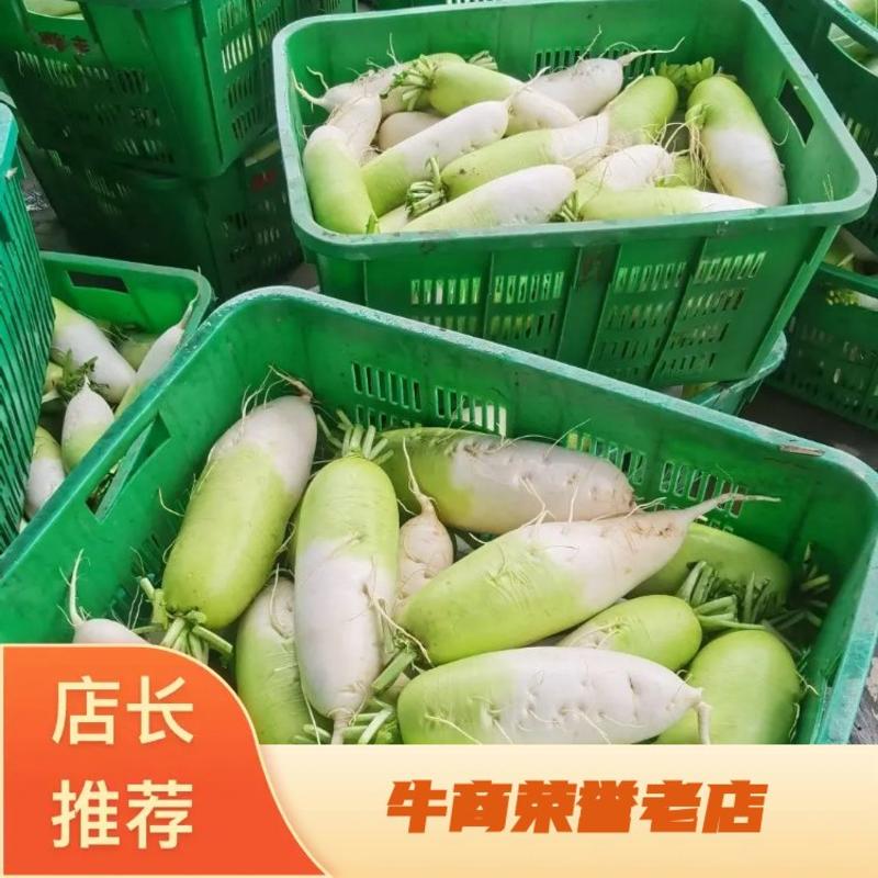 四川成都彭州青头萝卜产地直发，价格便宜