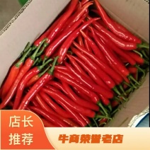 泡椒红泡椒青泡椒批发量大价优欢迎咨询下单