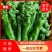 【官方推荐】海南精品螺丝椒薄皮泡椒大量上市质量保证