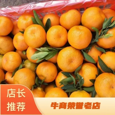 椪桔大量出售，，，，，，。…，，，，，，，，