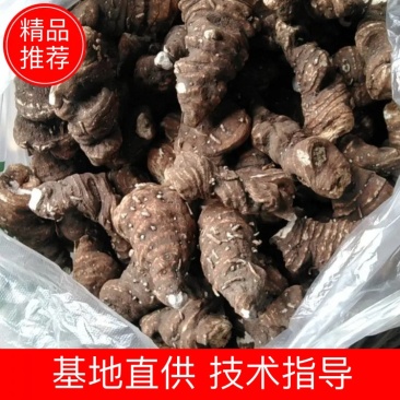 四川省什邡市众康合作社华重楼选装货