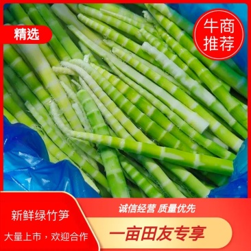 『荐』新鲜绿笋常年供用，产地直发一手货源欢迎致电