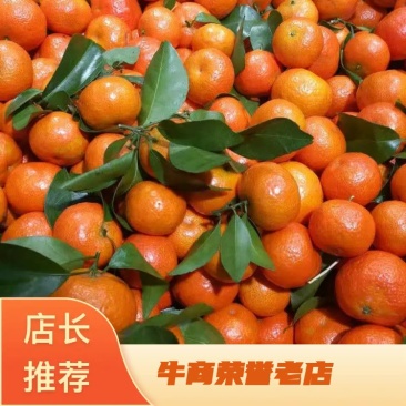 精品广西砂糖橘大量上市新鲜现摘薄皮无籽欢迎咨询