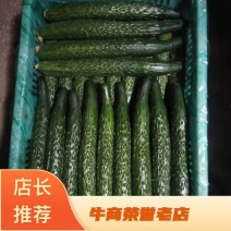 【优质】精选沂南密刺亮条黄瓜条形好量大价优代发全国
