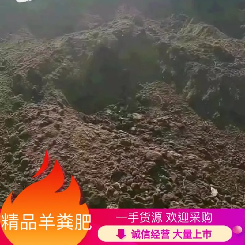 热卖中，滨州精品纯羊粪有机肥料，质量上乘，量大从优