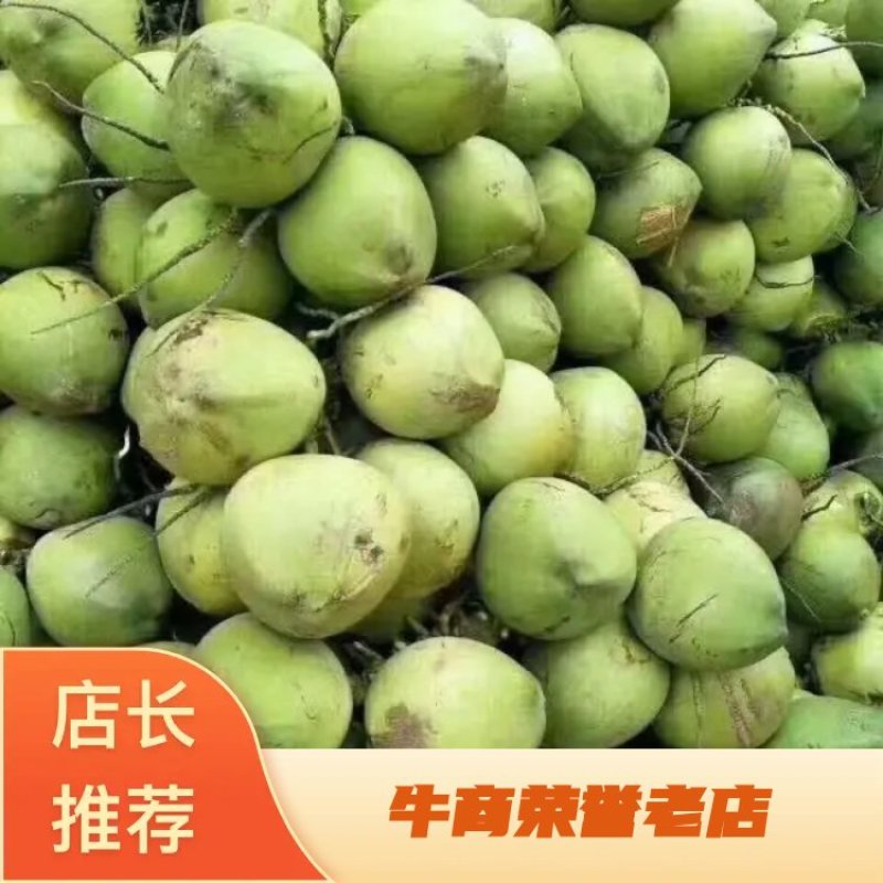 海南椰青.椰皇.毛椰.椰白.场地直发量大从优欢迎来电