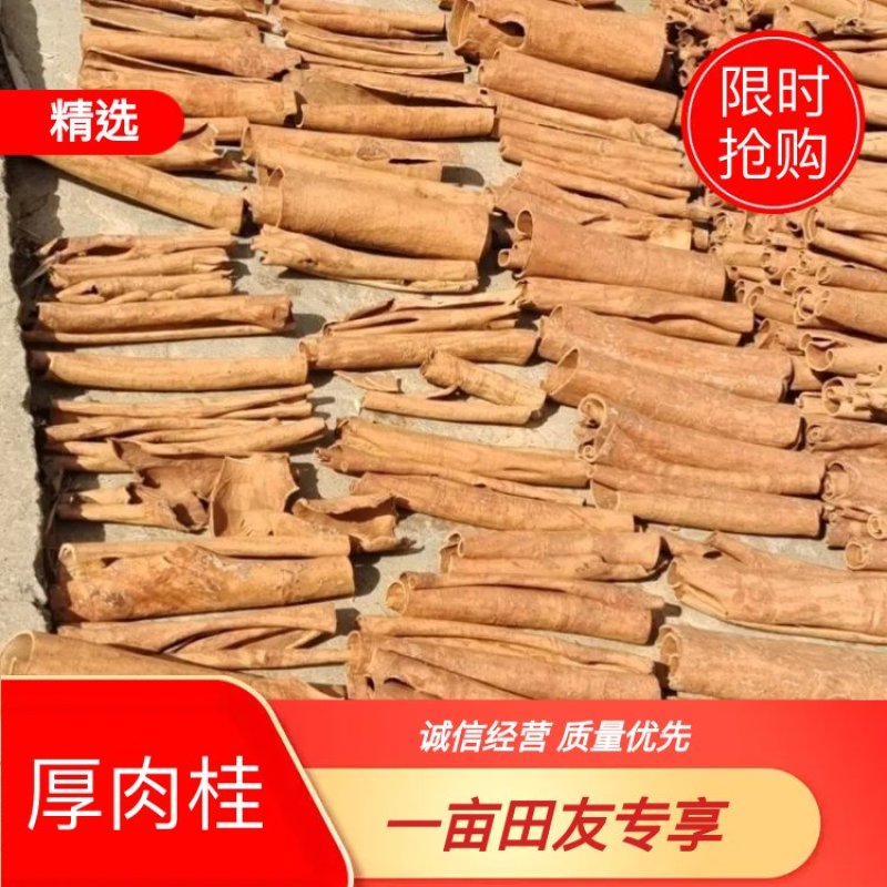 广西大瑶山桂皮，高山大肉桂，色香味俱全。