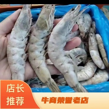 虾海虾河虾箱装散冻全规格量大从优