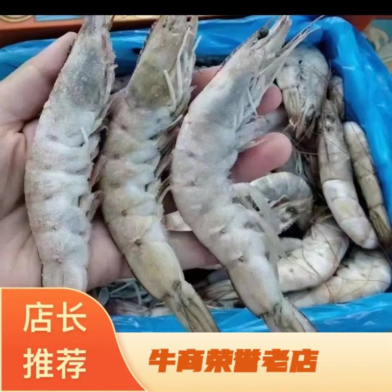 虾海虾河虾箱装散冻全规格量大从优