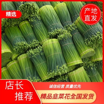 【推荐】广东韭菜花全国各地发货基地一手货源欢迎来电