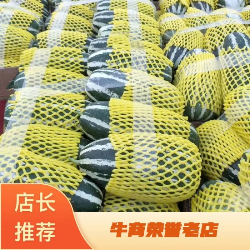 精品博洋甜瓜一手货源电商直供口感香甜质量保障现摘现发