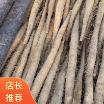 河北白玉山药大量有货规格齐全质量保证欢迎各位老板选购