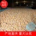 万亩基地精品胡柚囗感好大量出售物流叫车日供五十万