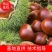 板栗苗50~80cm