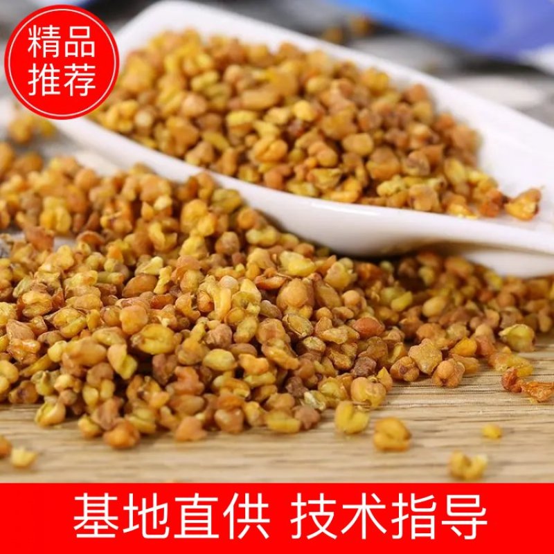 苦荞茶荞麦茶大货和图不一样退货包邮费中药材批发零售