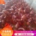 【羊副产品】河北河间育肥羊熟肝肺各类牛副羊副价格美丽
