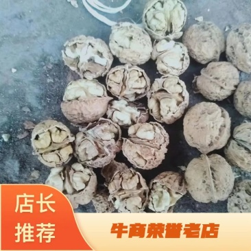 云南薄皮核桃大量供应质量保证货源充足诚信经营