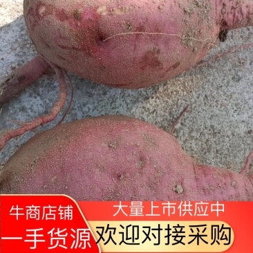红薯、红薯粉、红薯粉丝【无添加】【自产自销】