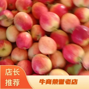 上市了吉林苹果123苹果龙丰苹果代办诚信做人颜色鲜艳口感