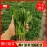 精品【菠菜】对接电商市场商超等各类客户欢迎咨询