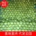 精品甘蓝大量上市产地直发品质保证,欢迎各位老板前来选购。