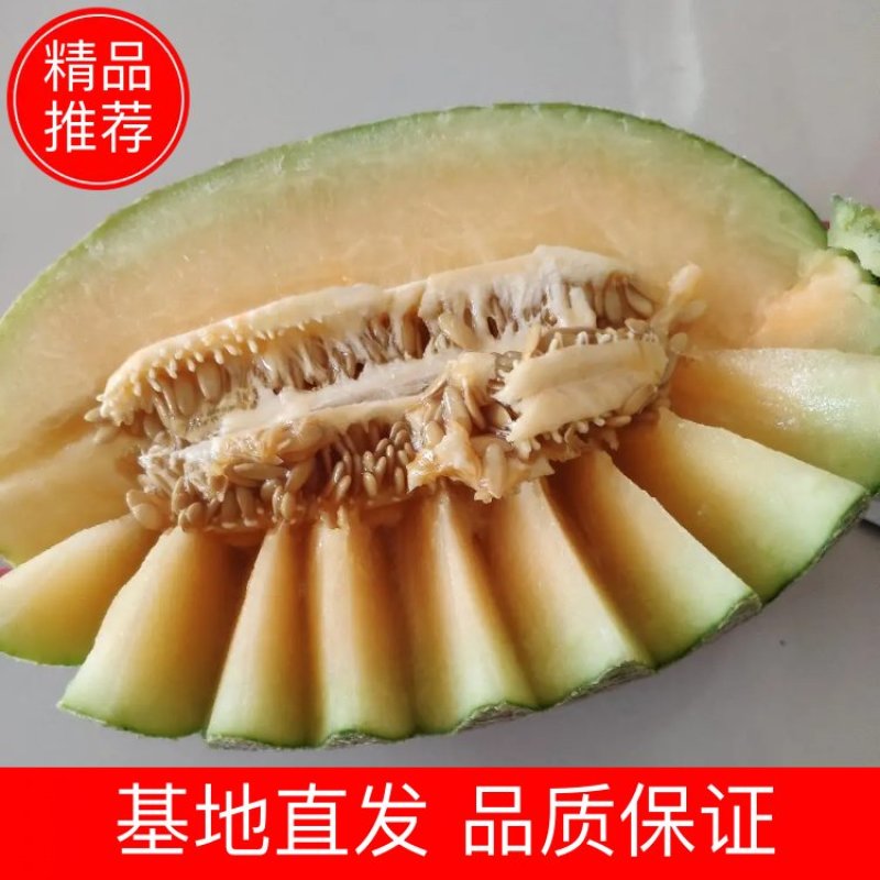甜瓜香瓜网纹瓜晓蜜25哈密瓜爽口脆甜现摘当季水果