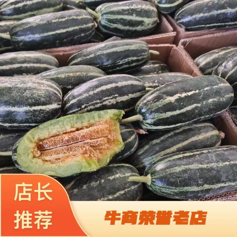 博洋九，九一甜瓜大量上市对接电商，超市商场平台。一手货源