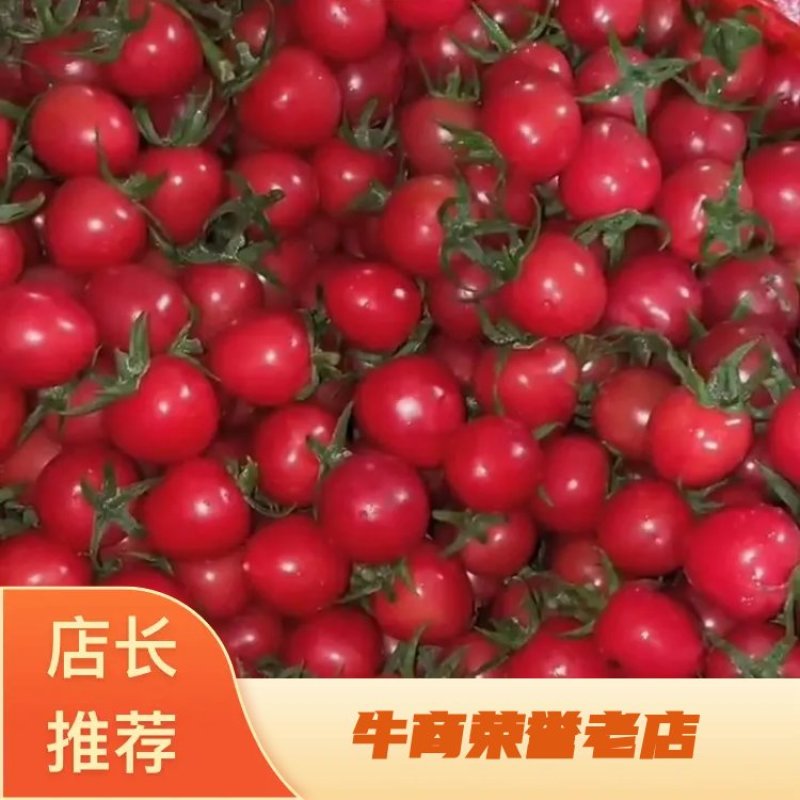 千禧圣女果口感酸甜可口，果形好，量大，供应量大